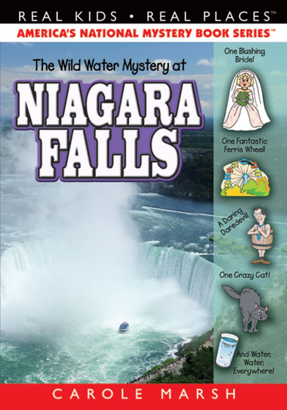 Big bigCover of The Wild Water Mystery at Niagara Falls