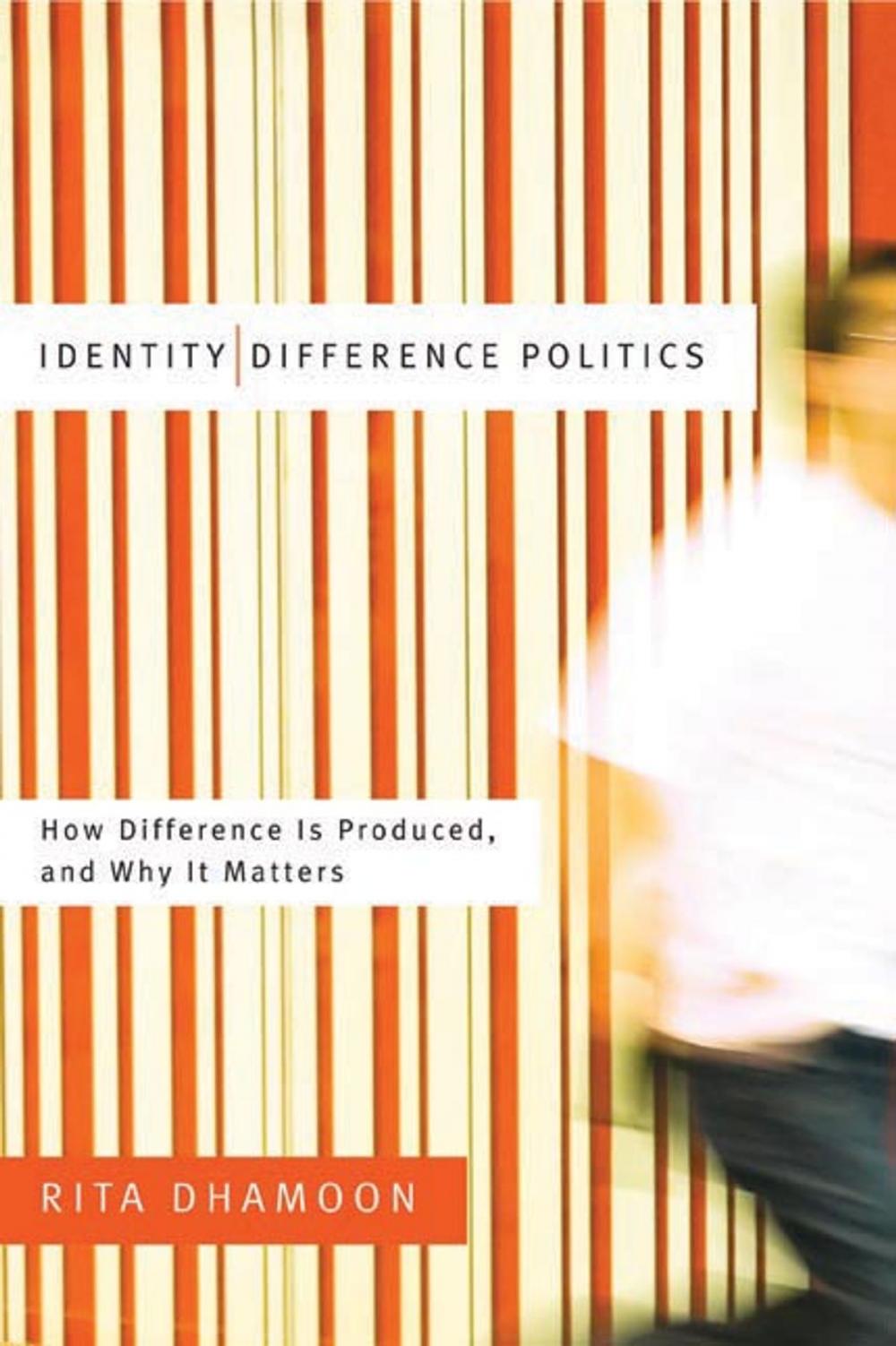 Big bigCover of Identity/Difference Politics