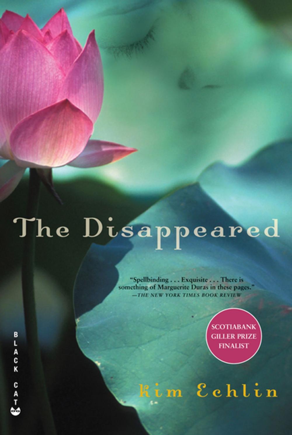 Big bigCover of The Disappeared