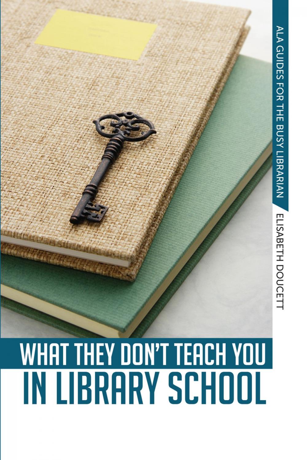 Big bigCover of What They Don't Teach You in Library School