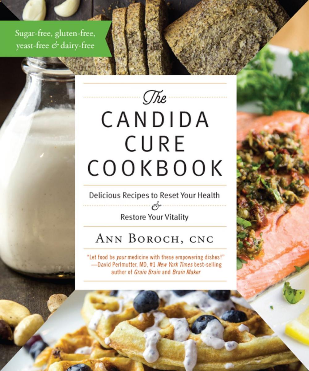 Big bigCover of The Candida Cure Cookbook