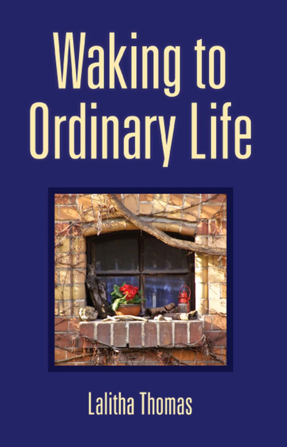 Big bigCover of Waking To Ordinary Life