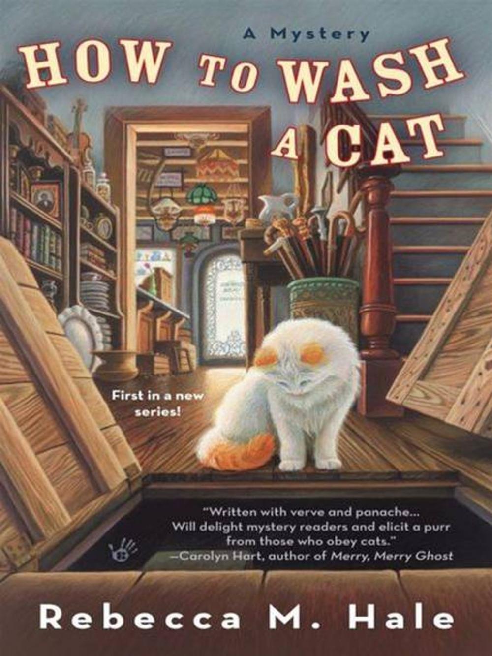 Big bigCover of How to Wash a Cat