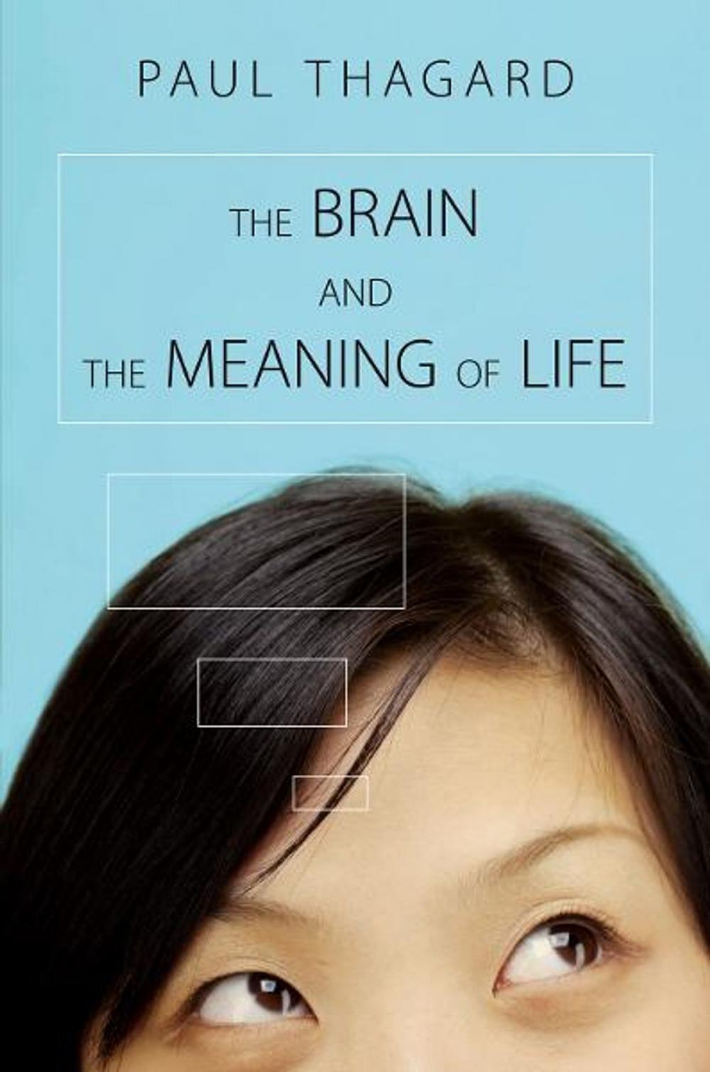 Big bigCover of The Brain and the Meaning of Life