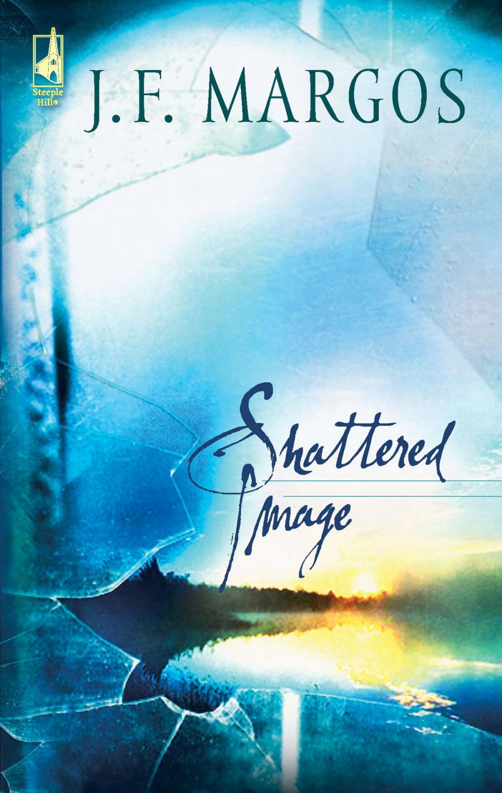 Big bigCover of Shattered Image