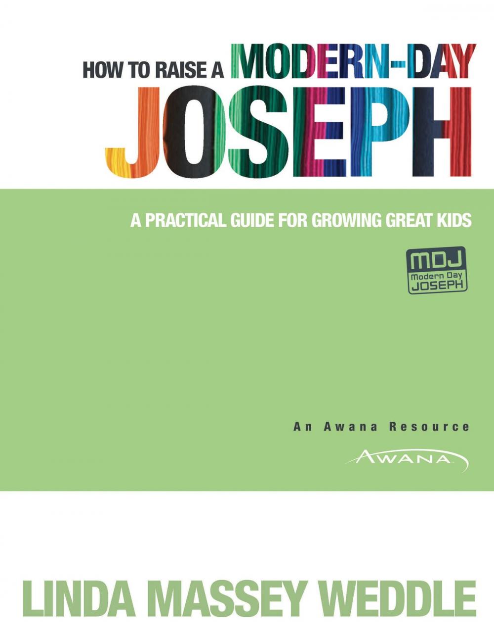 Big bigCover of How to Raise a Modern-Day Joseph