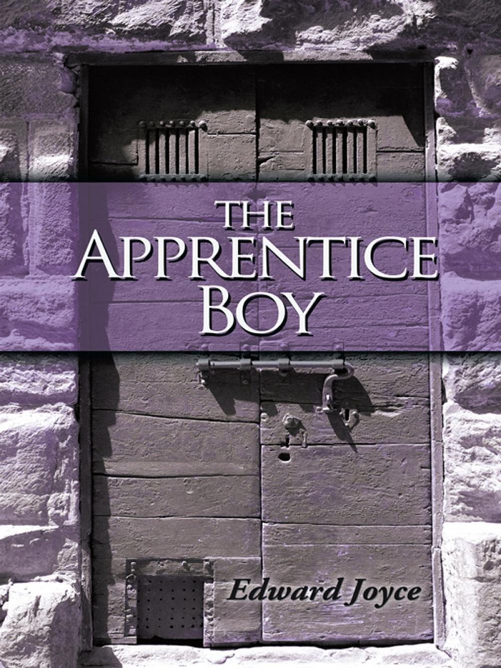 Big bigCover of The Apprentice Boy