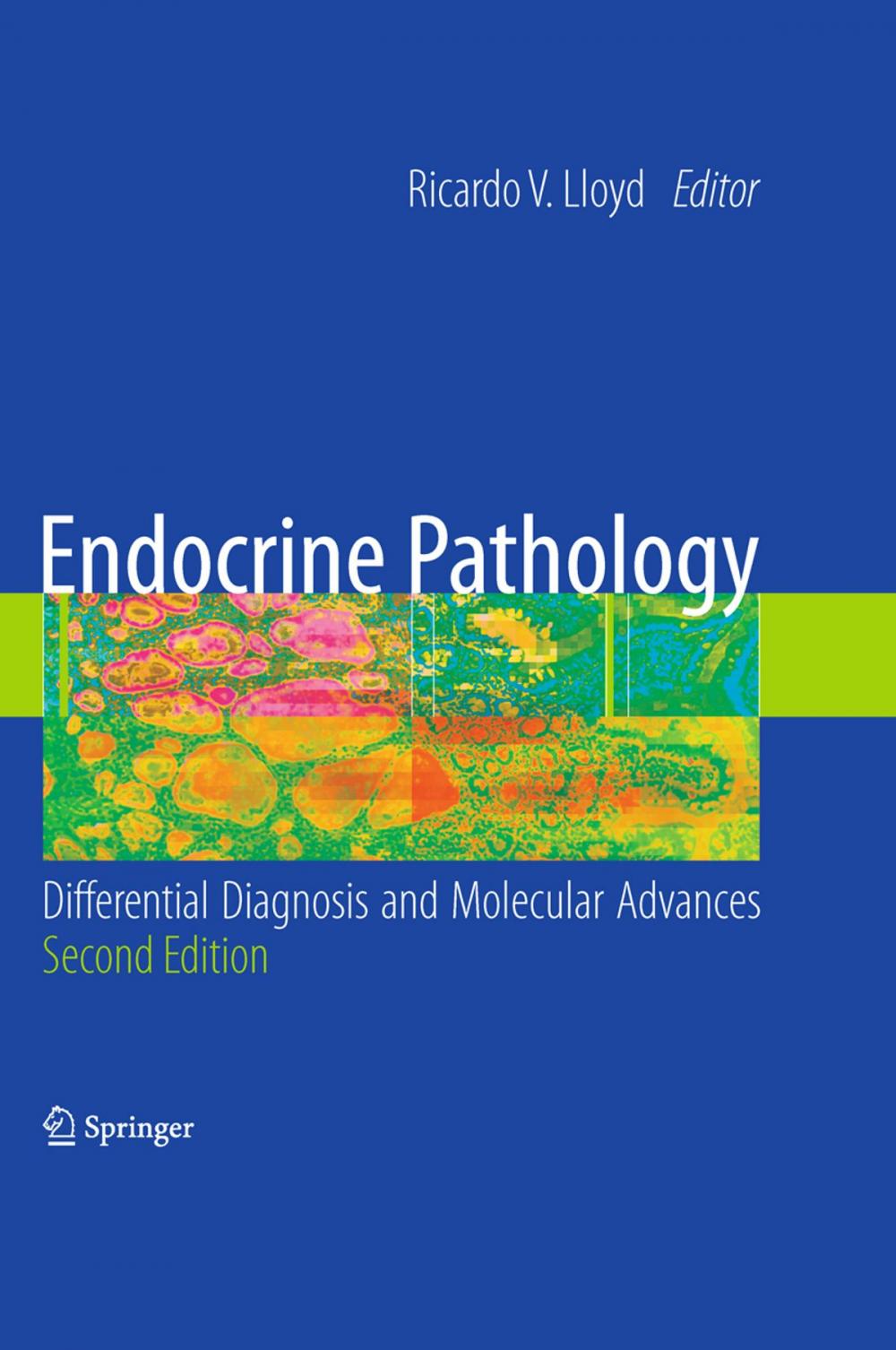 Big bigCover of Endocrine Pathology: