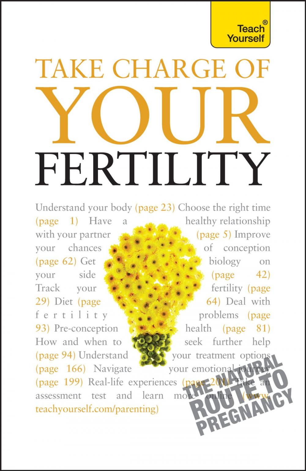 Big bigCover of Take Charge Of Your Fertility: Teach Yourself