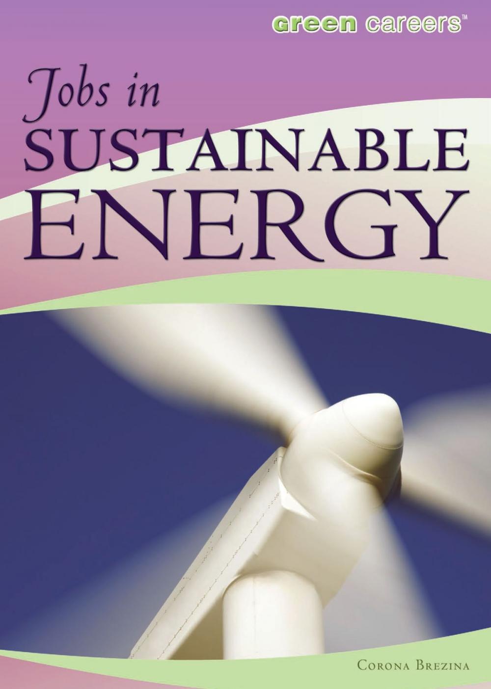 Big bigCover of Jobs in Sustainable Energy