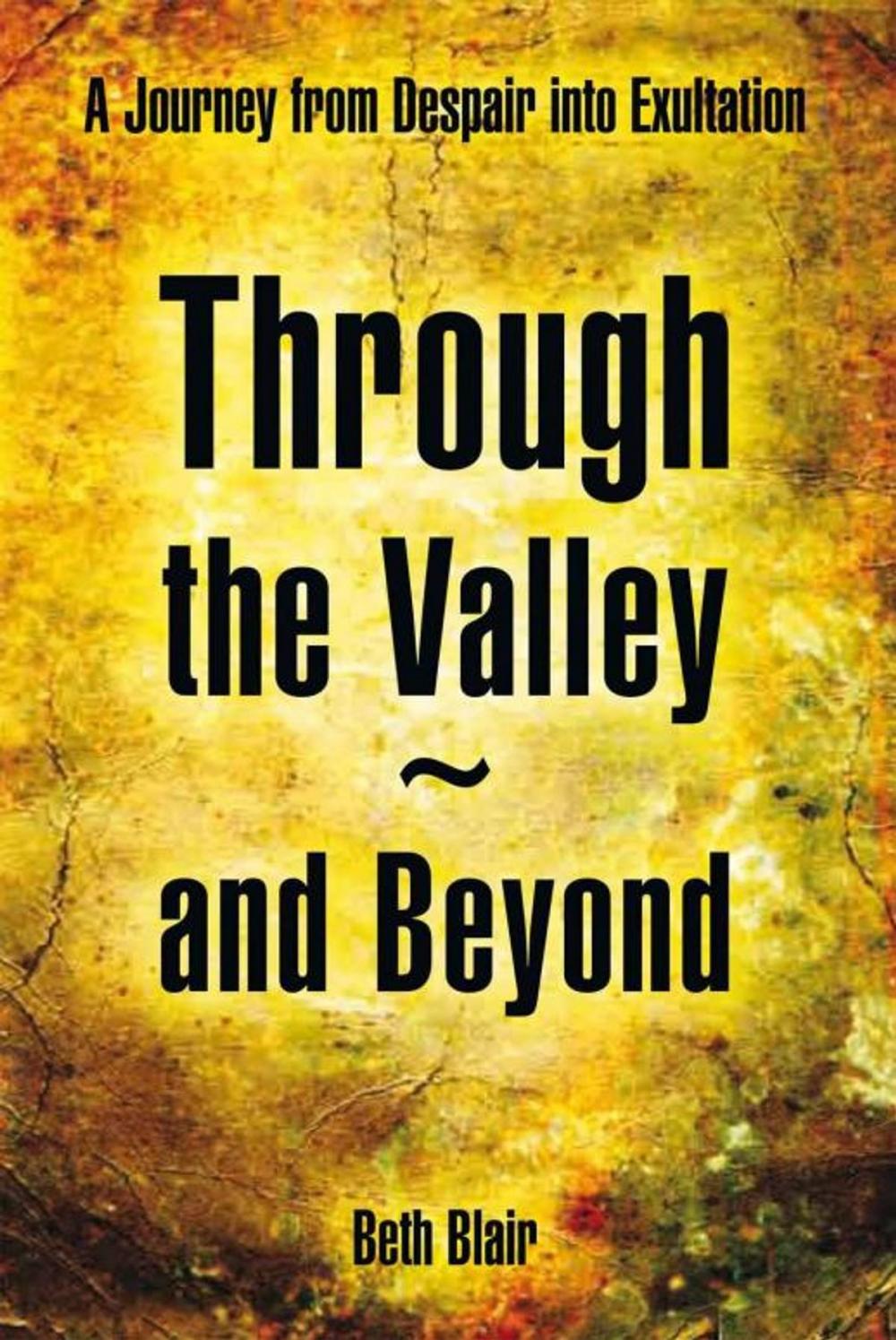 Big bigCover of Through the Valley~And Beyond