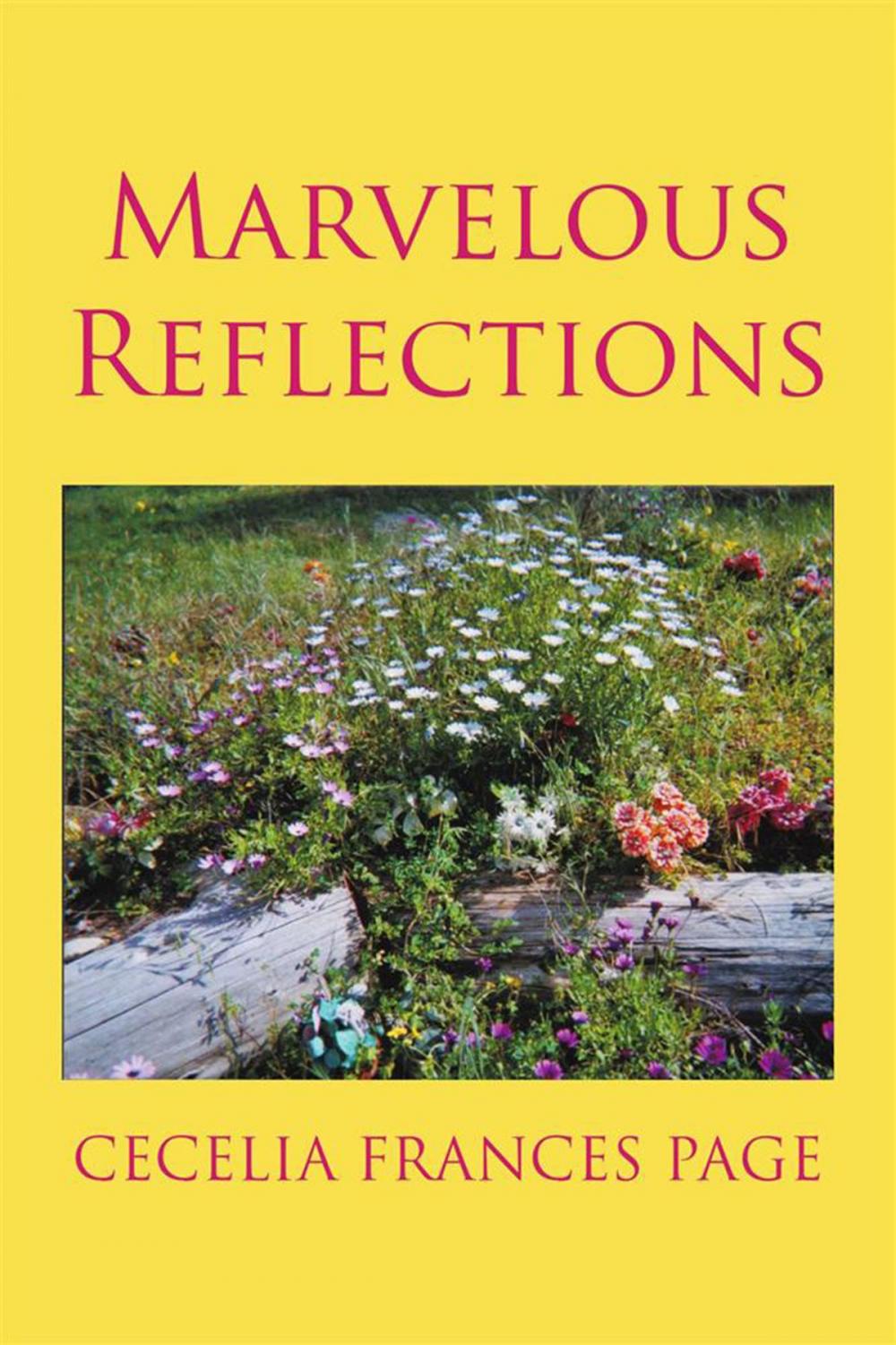 Big bigCover of Marvelous Reflections