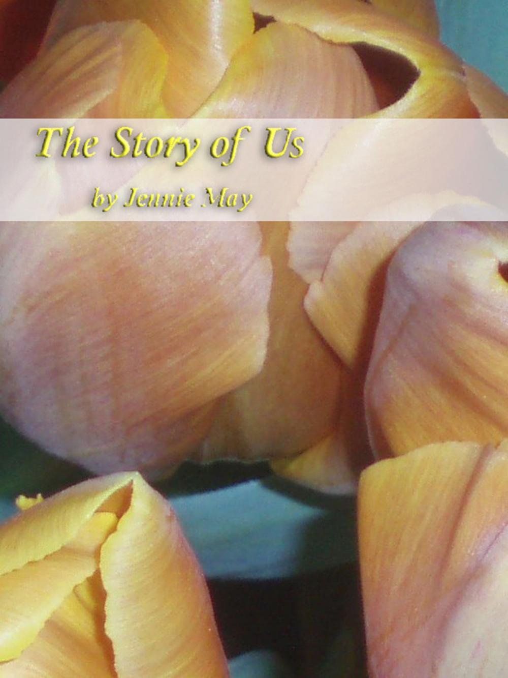 Big bigCover of The Story of Us