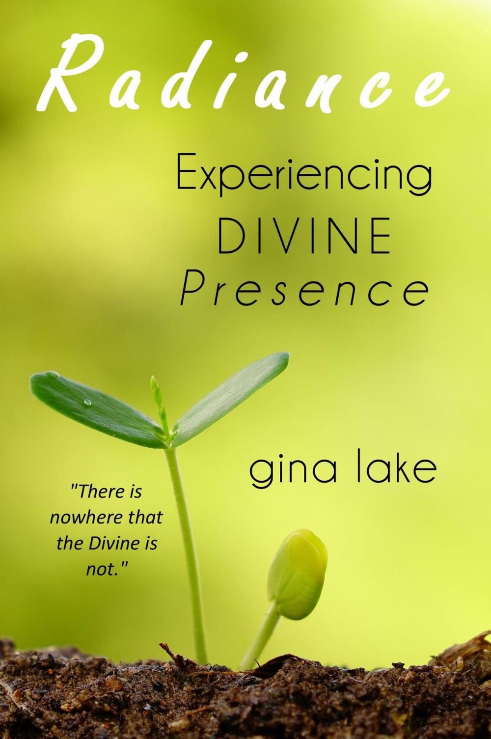 Big bigCover of Radiance: Experiencing Divine Presence