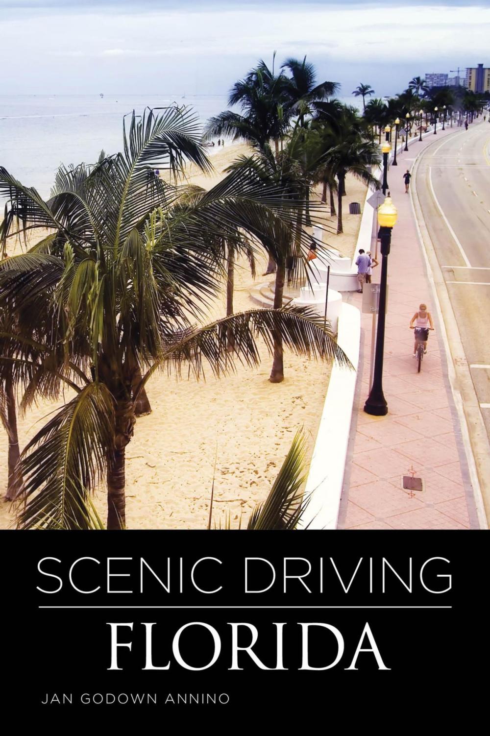 Big bigCover of Scenic Driving Florida