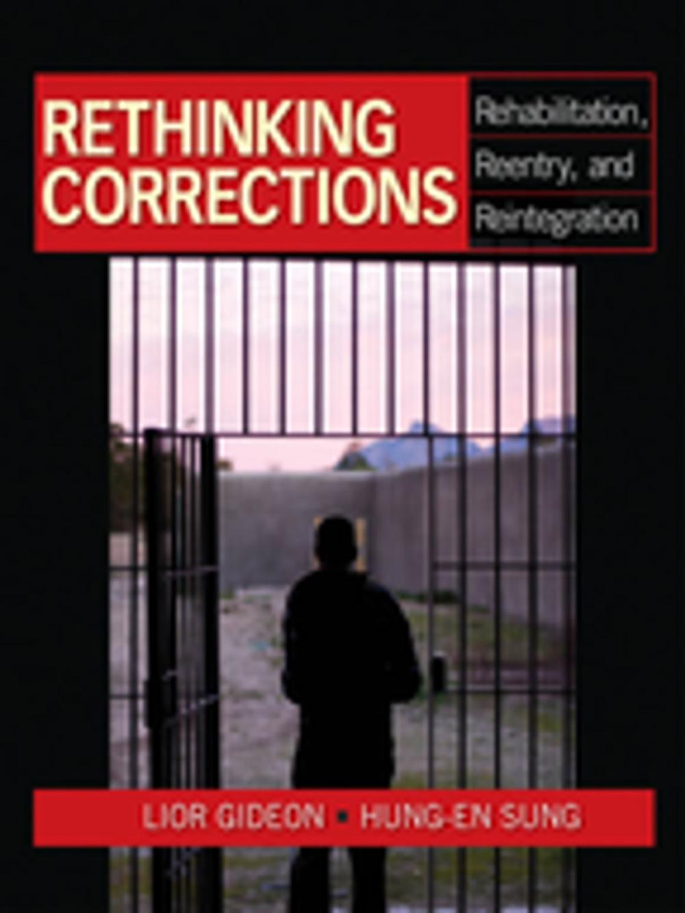 Big bigCover of Rethinking Corrections