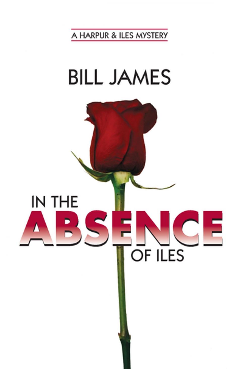 Big bigCover of In the Absence of Iles (Vol. Book 25)