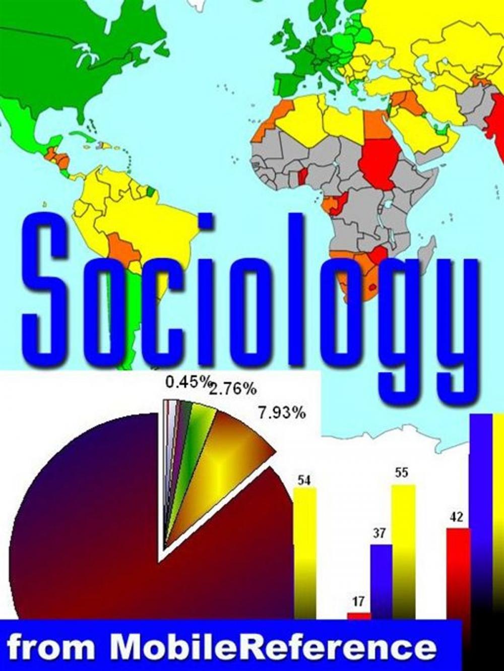 Big bigCover of Sociology Study Guide: Society, Culture, Socialization, Groups , Deviance And Norms, Sexuality, Organizational Behavior, Inequality, Institutions And Mass Media, Famous Sociologists (Mobi Study Guides)