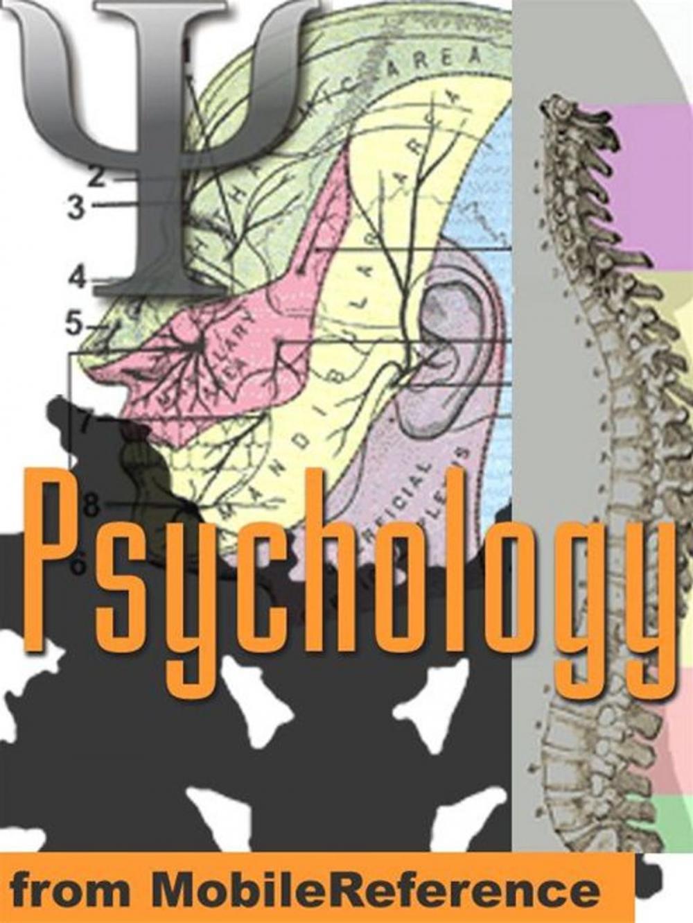 Big bigCover of Psychology Study Guide: Neuropsychology, Sensory Systems, Perception, Learning And Memory, Thinking, Language, Intelligence, Development, Personality, Mind, Social & Abnormal Psychology, Psychoactive Drugs (Mobi Study Guides)