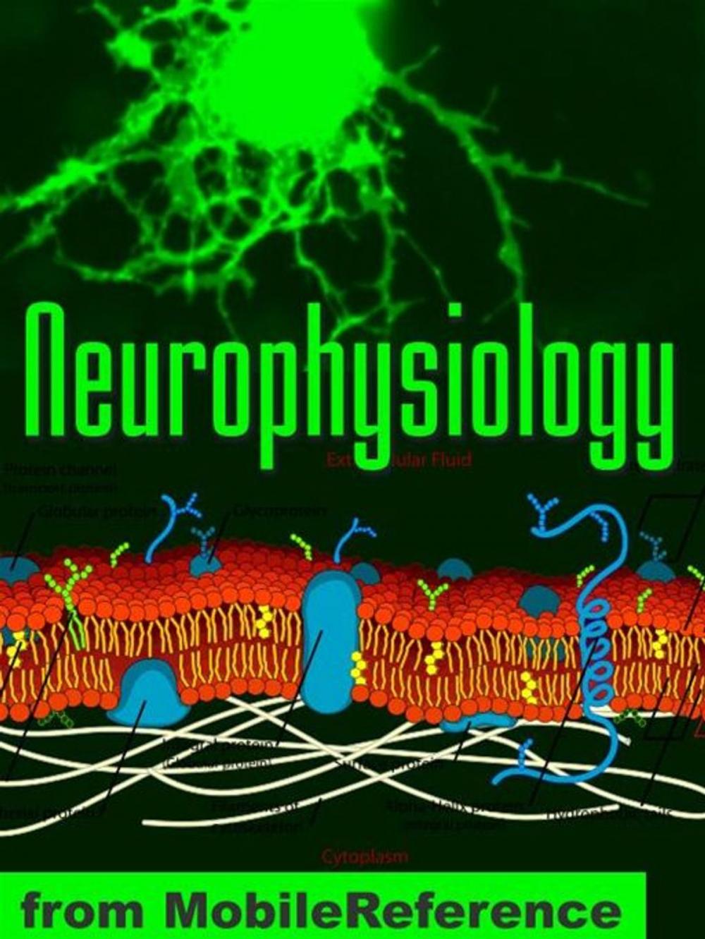 Big bigCover of Neurophysiology Study Guide: Membranes And Transport, Ion Channels, Electrical Phenomena, Action Potential, Signal Transduction & More. (Mobi Medical)