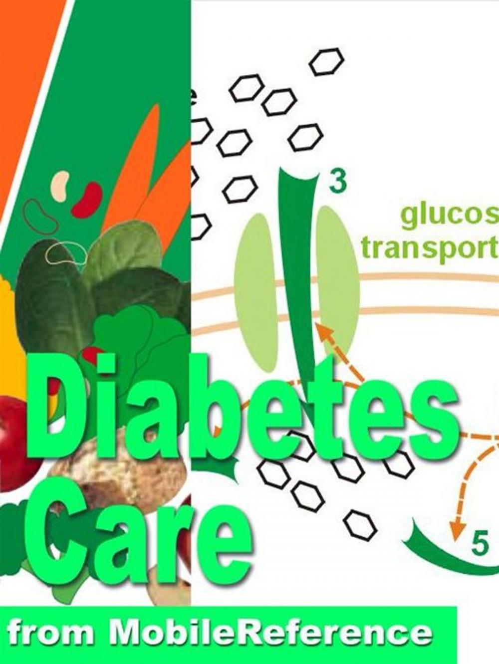 Big bigCover of Diabetes Care Pocket Guide (Mobi Health)