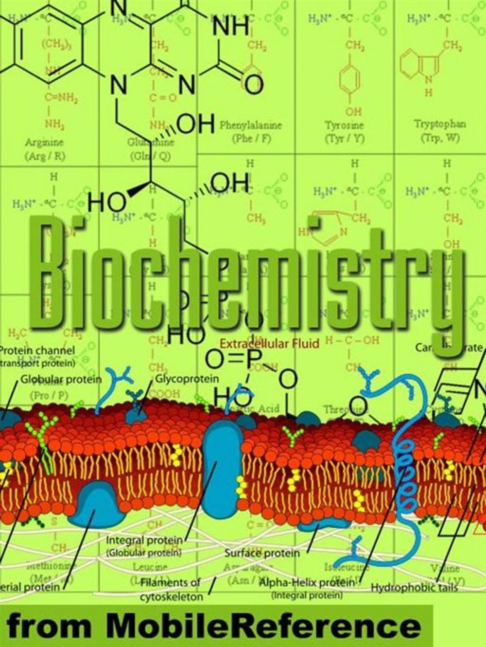 Big bigCover of Biochemistry Study Guide: Enzymes, Membranes And Transport, Energy Pathways, Signal Transduction, Cellular Respiration, Glycolysis, Krebs/Citric Acid Cycle & More (Mobi Study Guides)