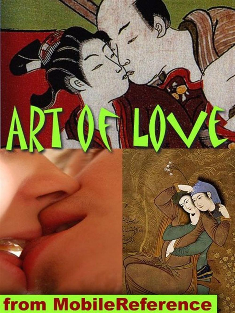 Big bigCover of Art Of Love: Nearly 100 Sex Positions And Wealth Of Illustrated Material From Foreplay To Anatomy (Mobi Health)