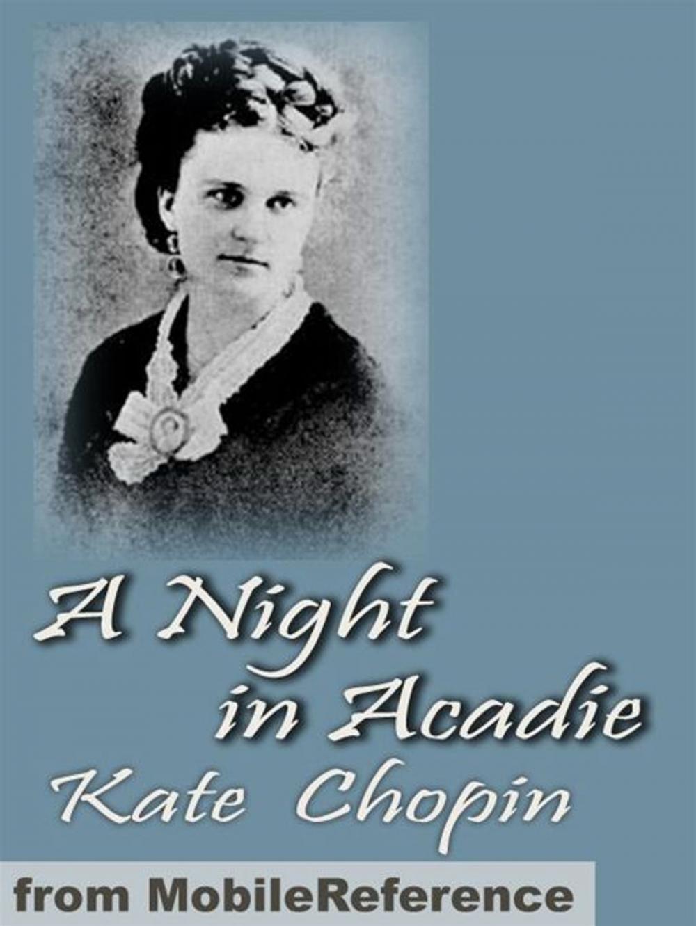 Big bigCover of A Night In Acadie (Mobi Classics)