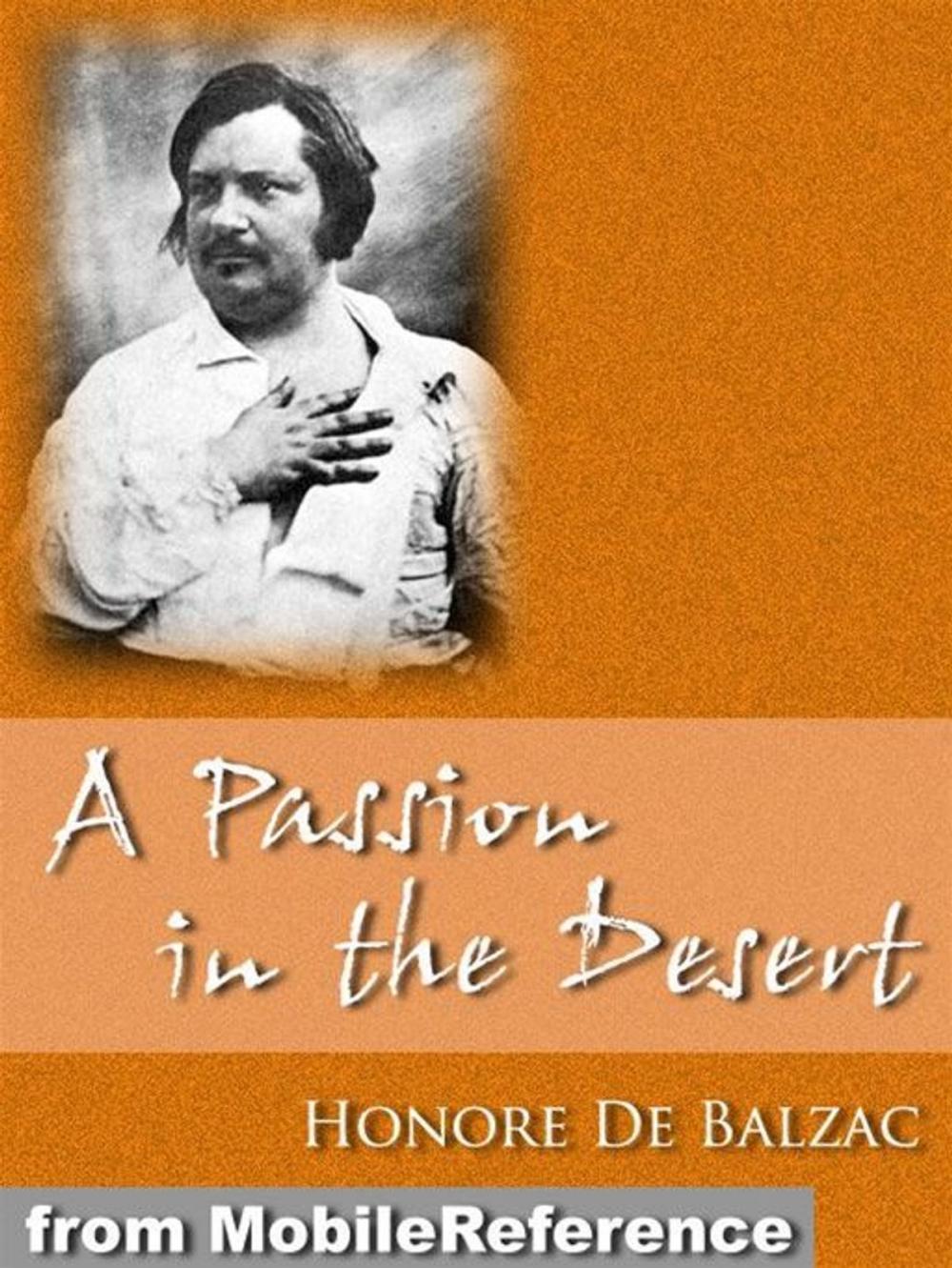 Big bigCover of A Passion In The Desert (Mobi Classics)