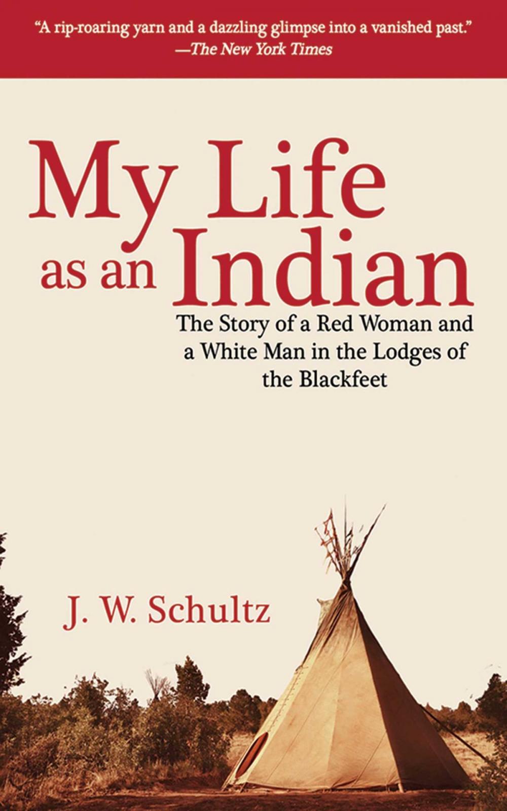 Big bigCover of My Life as an Indian