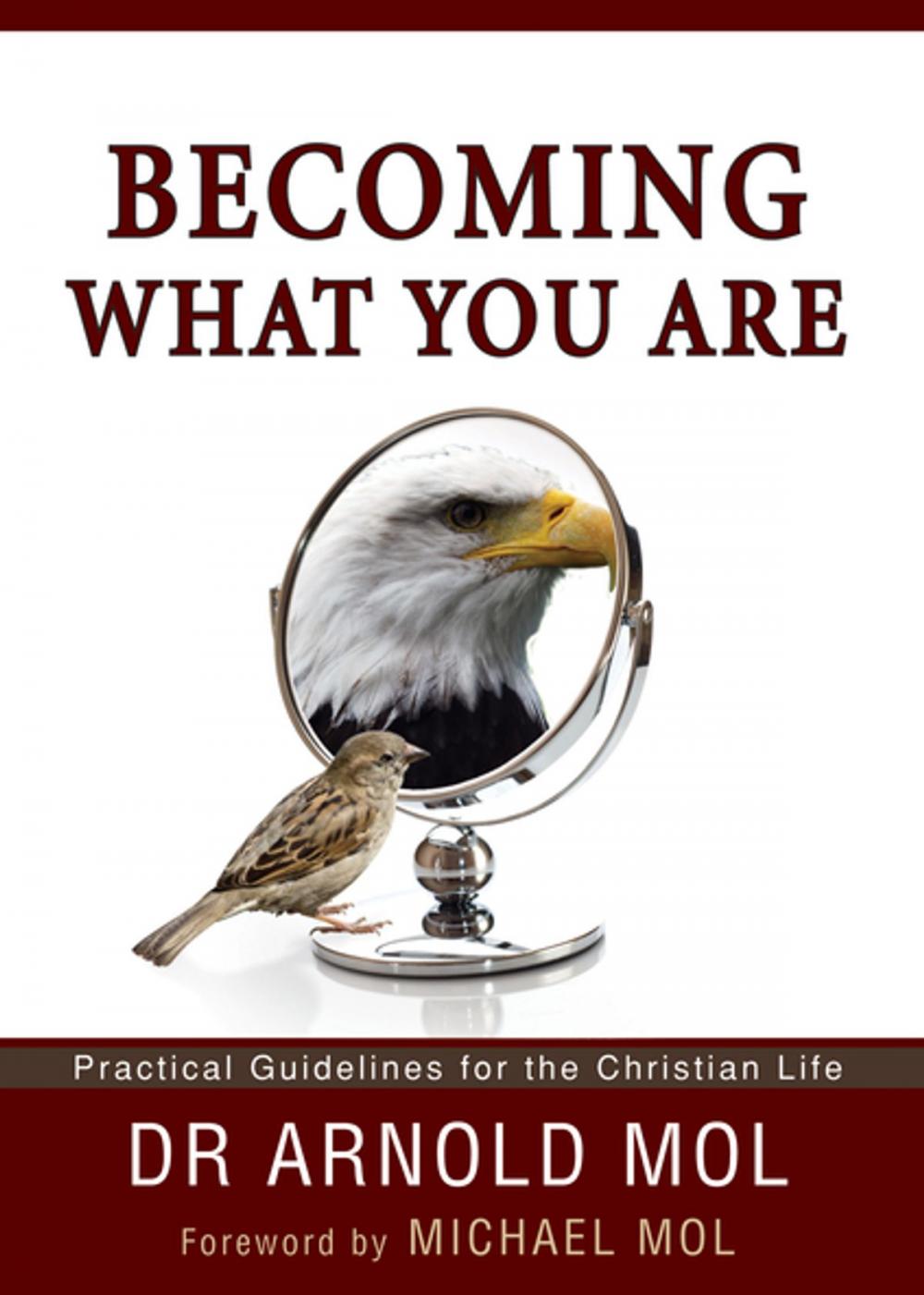 Big bigCover of Becoming What You Are (eBook)