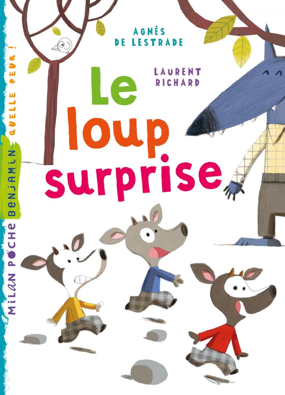 Big bigCover of Le loup surprise