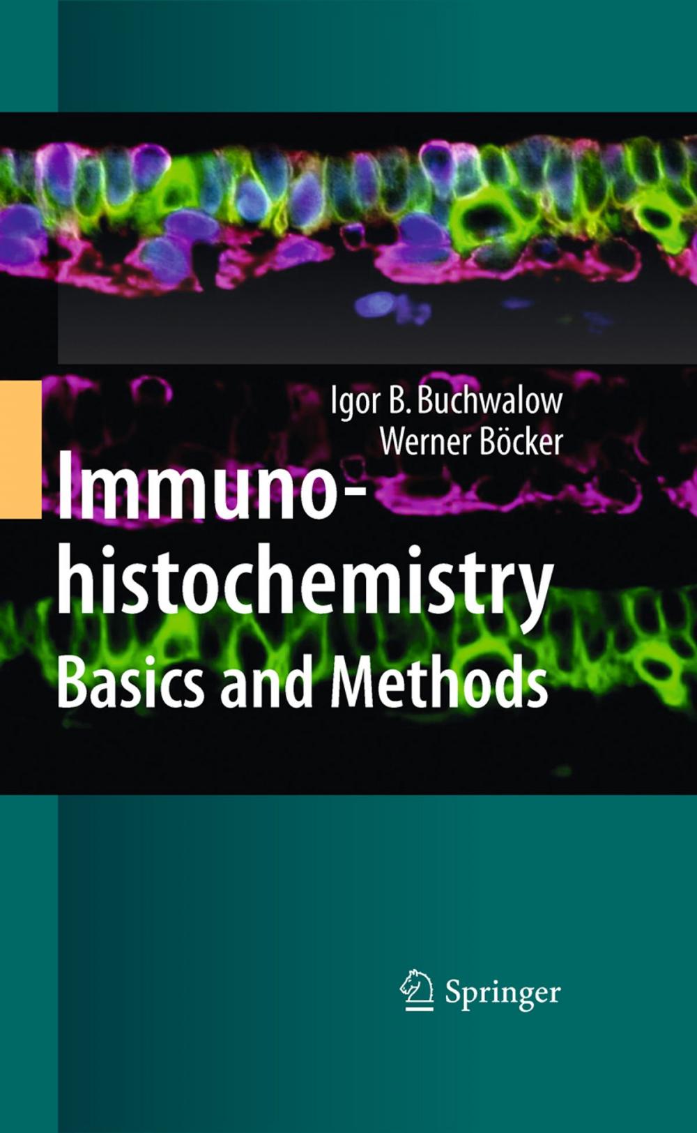 Big bigCover of Immunohistochemistry: Basics and Methods