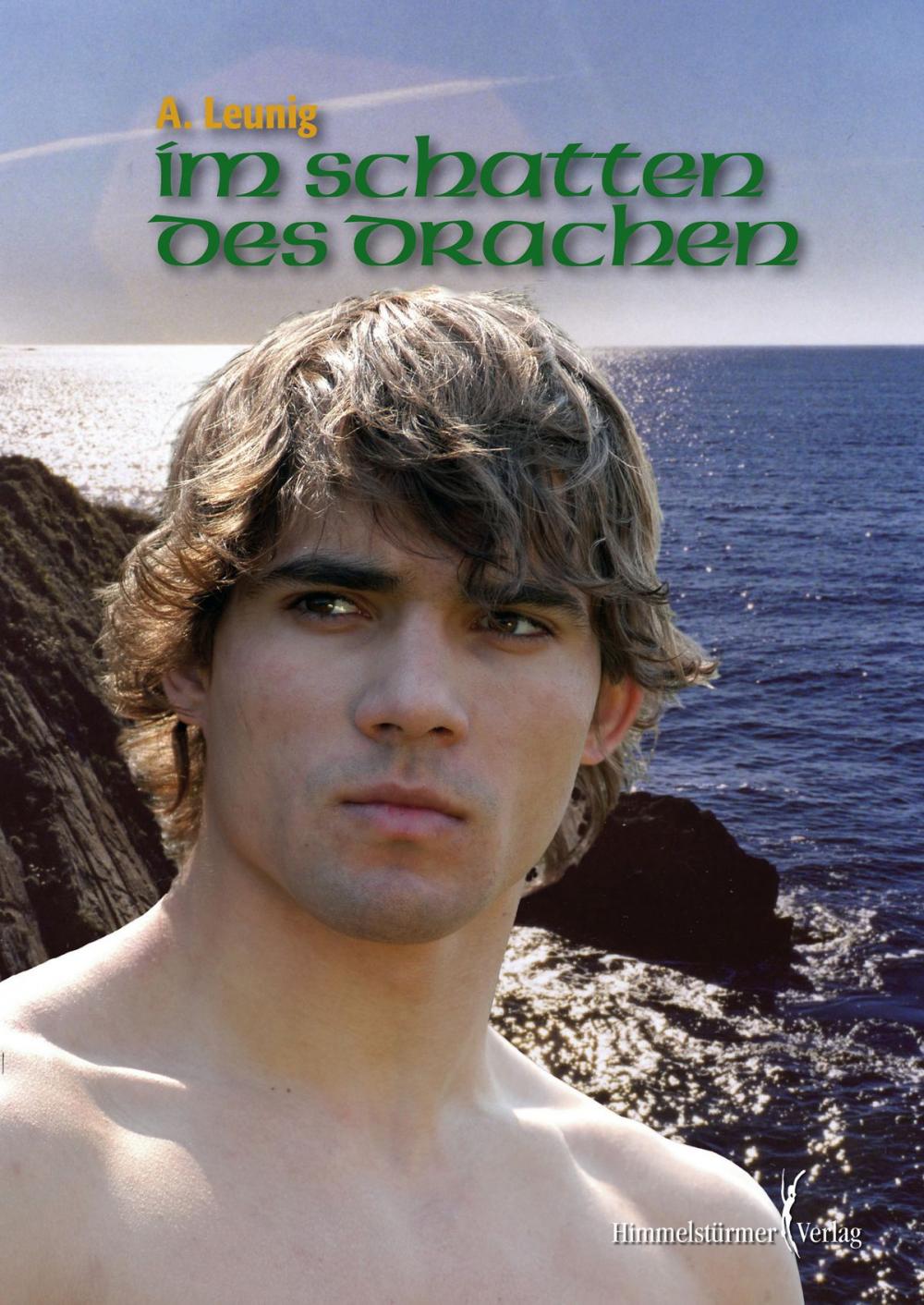 Big bigCover of Im Schatten des Drachen