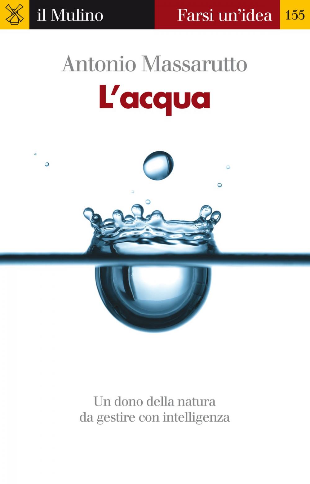 Big bigCover of L'acqua