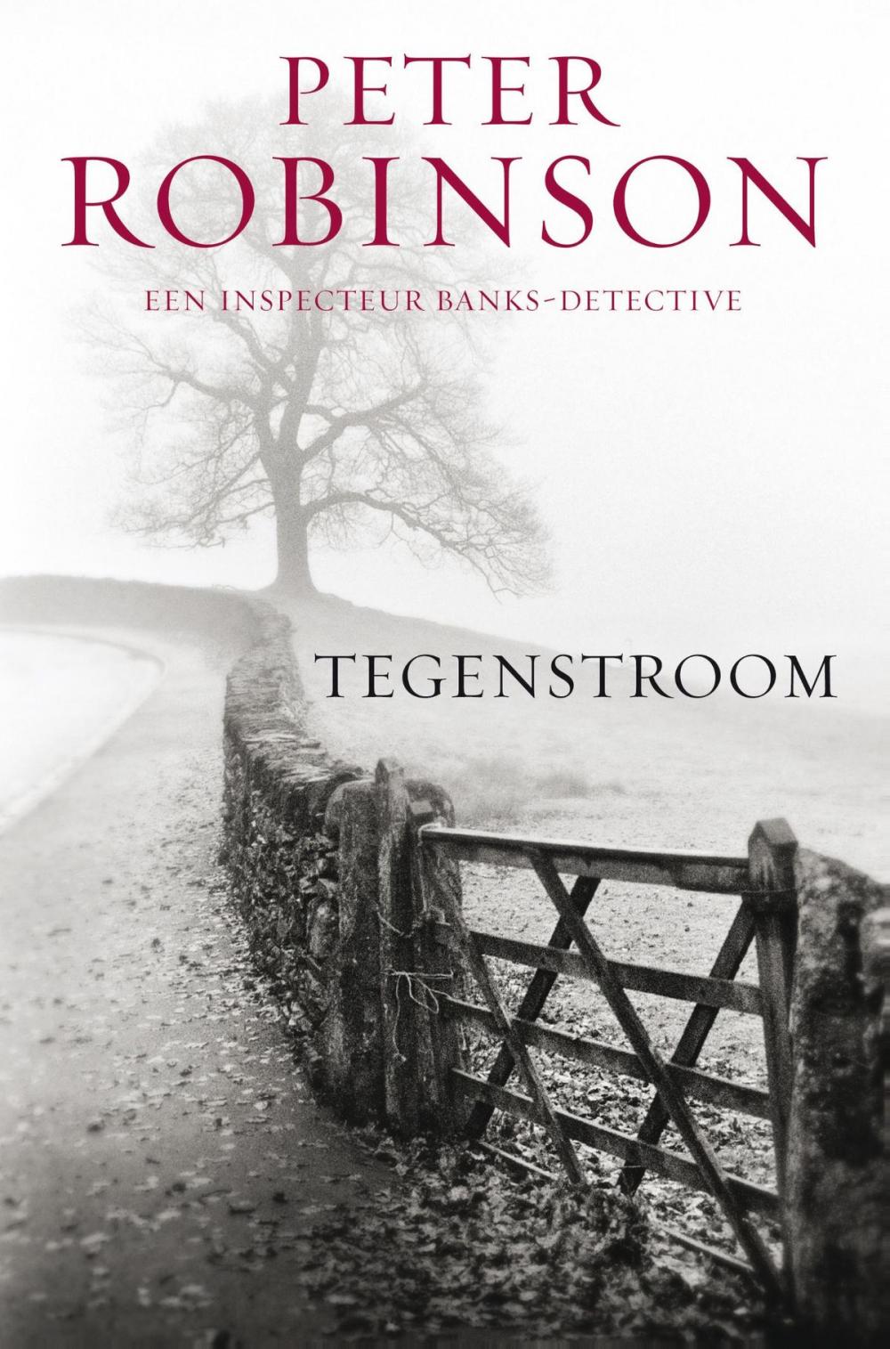 Big bigCover of Tegenstroom