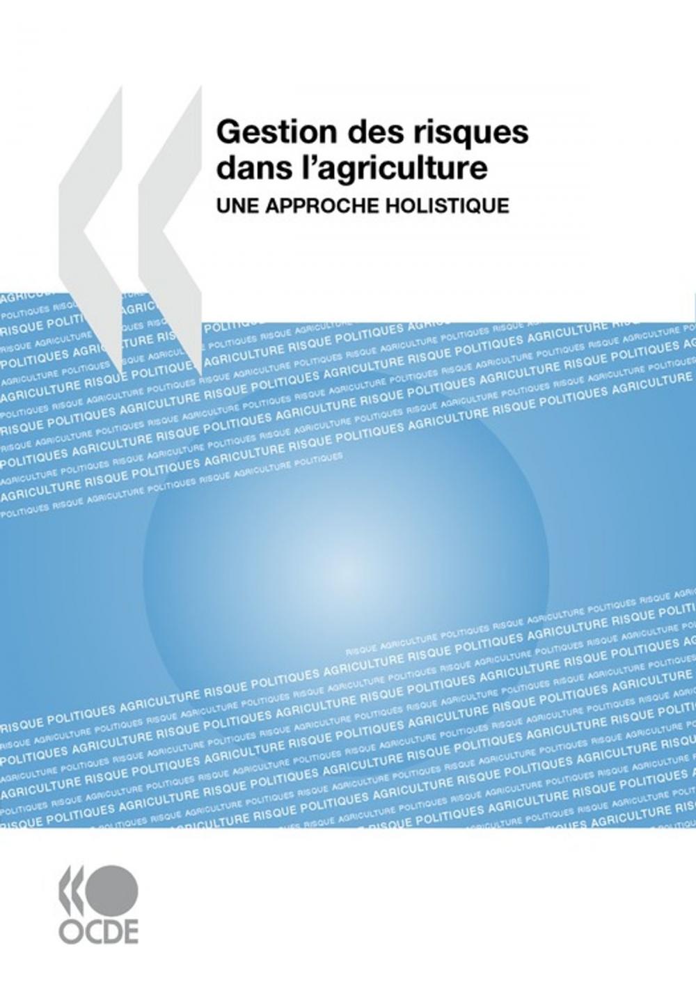 Big bigCover of Gestion des risques dans l'agriculture