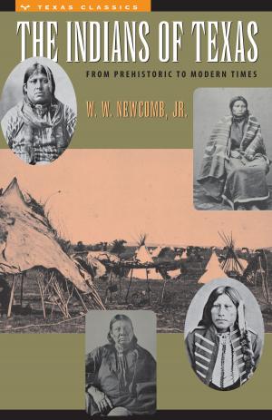 Cover of the book The Indians of Texas by Helen Rose Fuchs Ebaugh