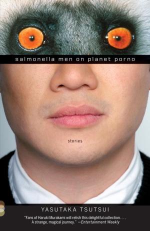 Book cover of Salmonella Men on Planet Porno