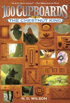 Cover of the book The Chestnut King (100 Cupboards Book 3) by Joan Sweeney