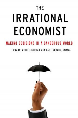 Cover of the book The Irrational Economist by Alex Beam