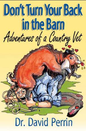 Book cover of Don't Turn Your Back in the Barn