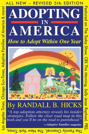Cover of ADOPTING IN AMERICA