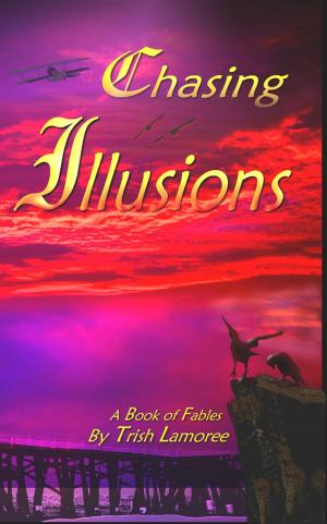 Cover of the book Chasing Illusions by Tuula Pere