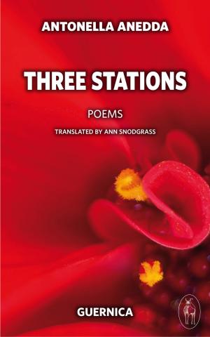 Cover of the book Three Stations by Bianca Lakoseljac