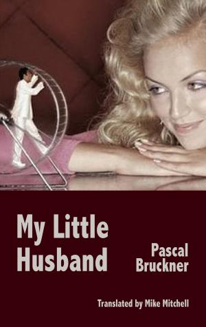 Cover of the book My Little husband by James Joyce