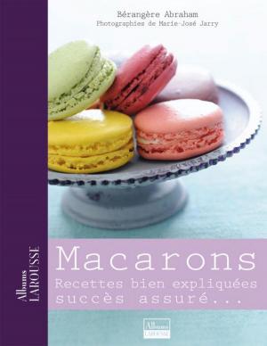 Cover of the book Macarons by Emilie Gillet