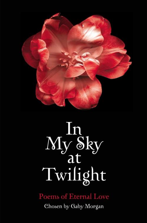 Cover of the book In My Sky at Twilight by Gaby Morgan, Pan Macmillan