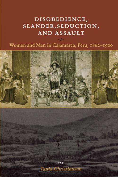 Cover of the book Disobedience, Slander, Seduction, and Assault by Tanja Christiansen, University of Texas Press