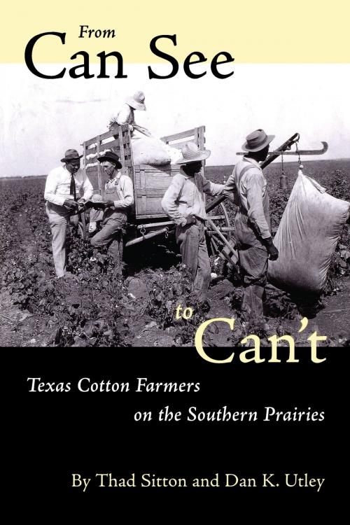 Cover of the book From Can See to Can’t by Thad Sitton, Dan K.  Utley, University of Texas Press